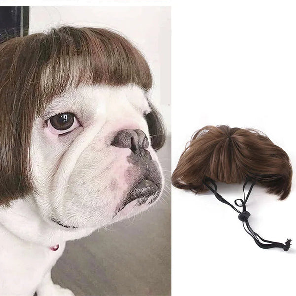 Pet Cosplay Wig Set