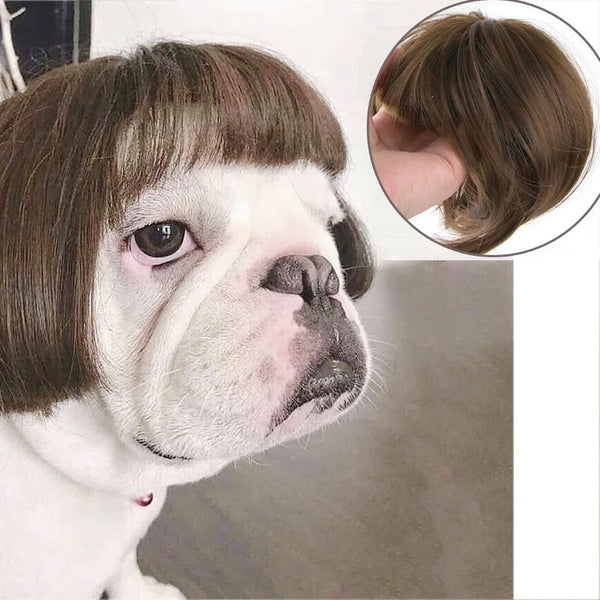 Pet Cosplay Wig Set